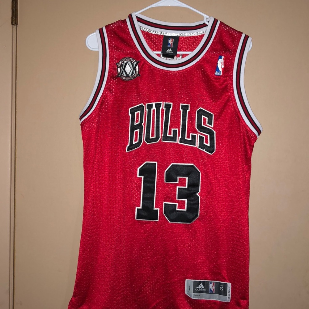 Bulls Jersey #13